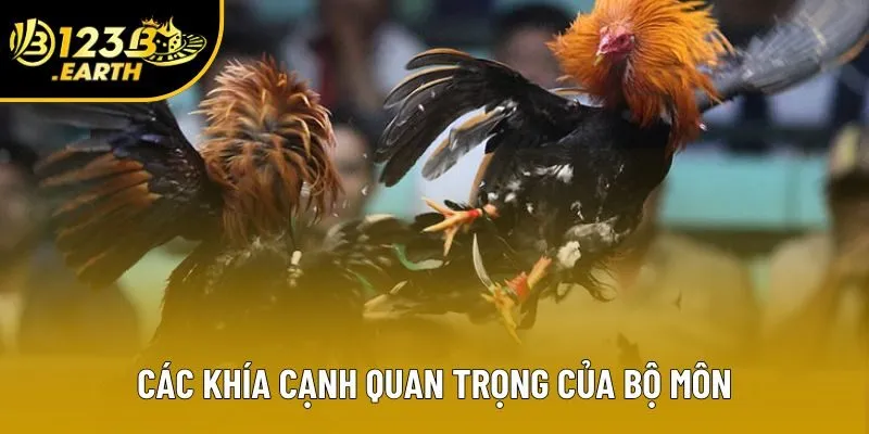 Các khía cạnh quan trọng của bộ môn