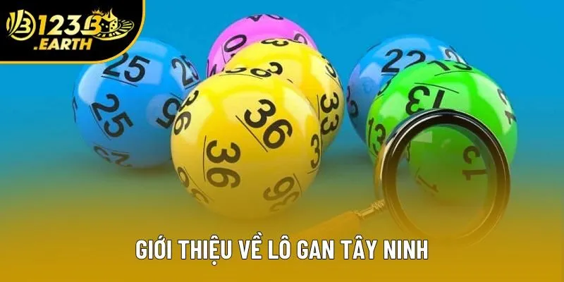 Giới thiệu về lô gan Tây Ninh Giới thiệu về lô gan Tây Ninh